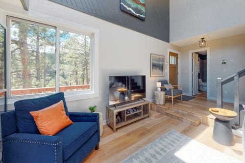 Mountain View Retreat House in La Plata County