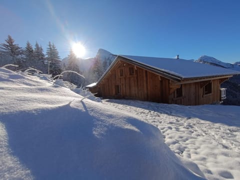 Chalet avec jacuzzi - 150 m des remontées Chalet in Montriond