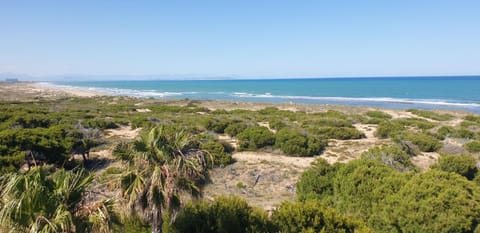 Pinada Beach 315 Apartment in Torre La Mata