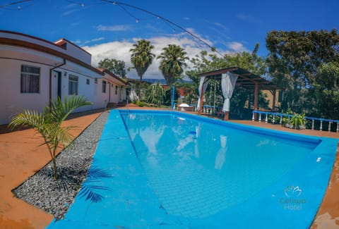 Pool view