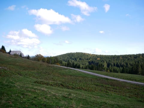 Rinken 9 Condo in Hinterzarten