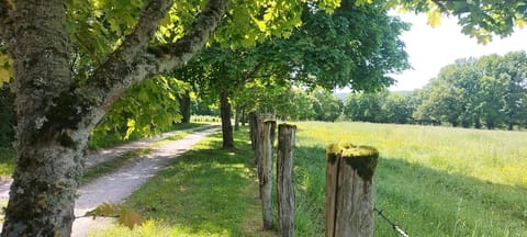 Spring, Natural landscape