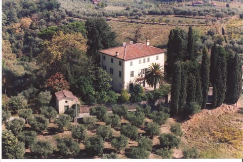 Property building, Natural landscape, Bird's eye view
