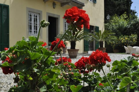 Facade/entrance, Garden, View (from property/room)