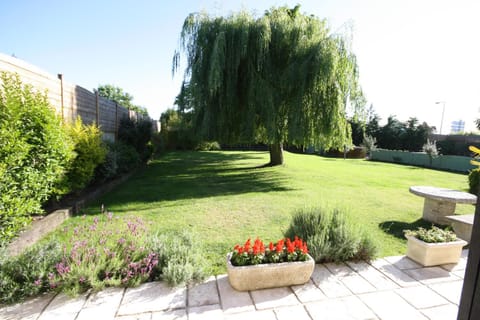 Garden, Garden, Balcony/Terrace