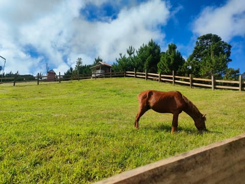 Reel Place Bed and Breakfast in Davao City