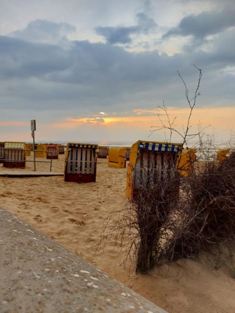 Beach, Sunset