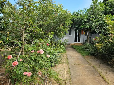 Homestay Sen & Zen Villa Vũng Tàu House in Vung Tau