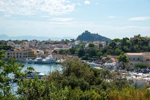 Neighbourhood, Summer, City view, Sea view, Sea view