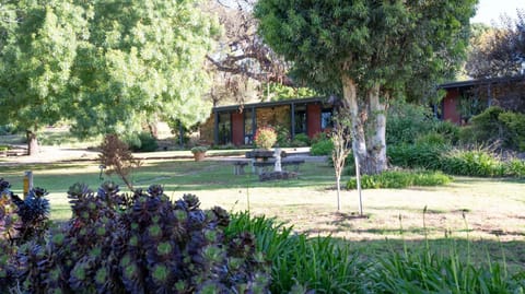 Blickinstal Holiday Retreat Haus in Tanunda