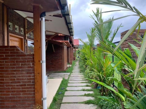 Property building, Facade/entrance, Garden view