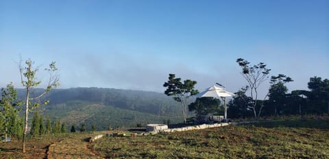 Neighbourhood, Natural landscape, Hiking