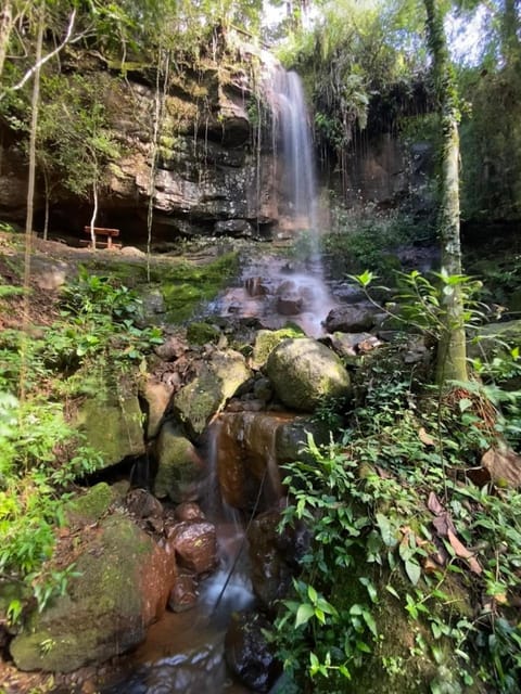 ECOLODGE PIEDRA Y AGUA Apartment in Misiones Province, Argentina