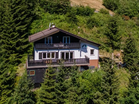 Property building, Summer