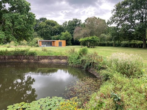 Property building, Natural landscape, Garden