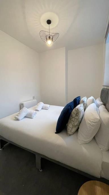 Suite 1- Luxury 1 Bed Apt- Leicester City- Free Parking Apartment in Leicester