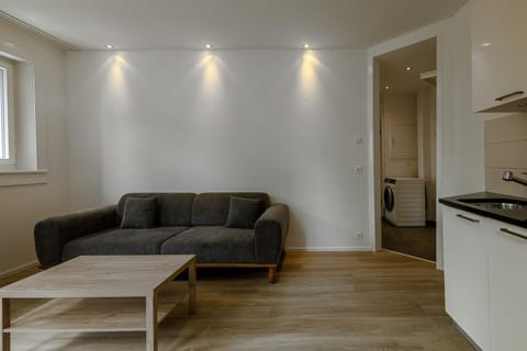 Luxury Apartments by Livingdowntown Apartment in Zurich City