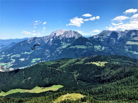 4 Bergpanorama mit herrlicher alpinen Almlandschaft Nichtraucherdomizil Apartment in Berchtesgaden