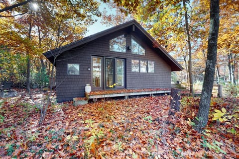 Little Brown House House in Glen Arbor