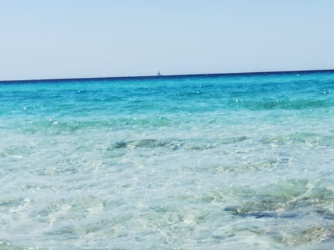 Natural landscape, Beach, Sea view