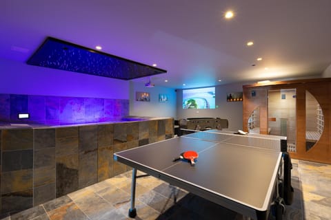 Game Room, Hot Tub, Sauna, Table tennis, TV and multimedia, Spa and wellness centre/facilities