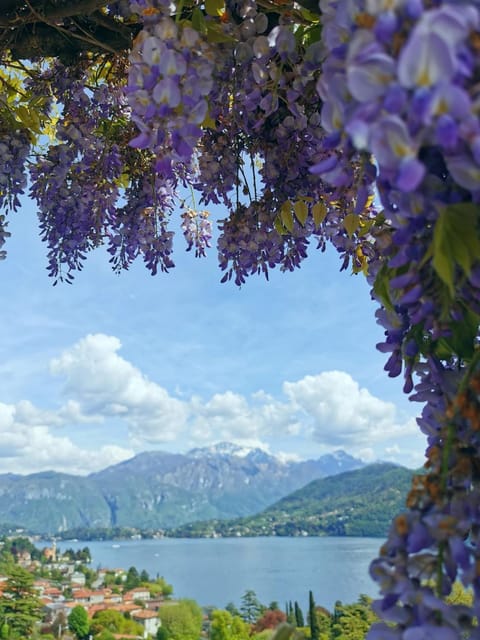 Photo of the whole room, City view