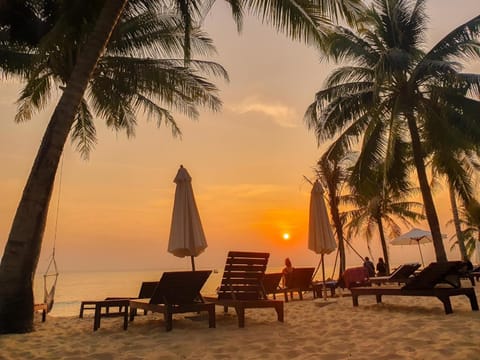 Natural landscape, Beach, Sunset