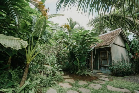 Property building, Garden