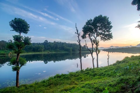 Natural landscape, Lake view