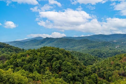 Rocky Top Lagoon cabin House in Sevier County