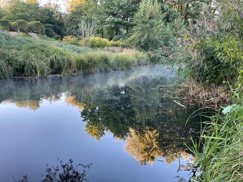 Natural landscape, River view