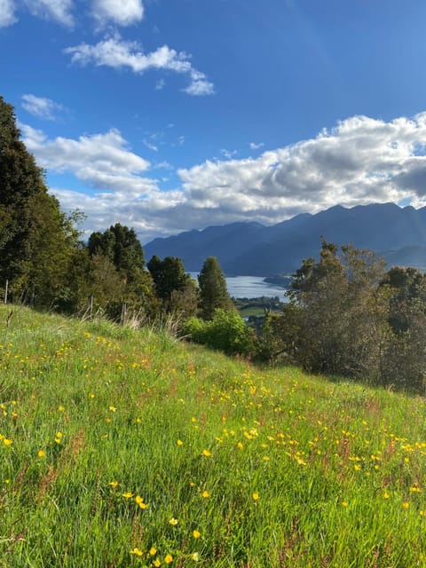 Garden view, Lake view