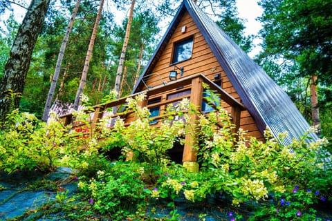 Przystań nad Sanem z widokiem na góry i rzekę Campground/ 
RV Resort in Slovakia