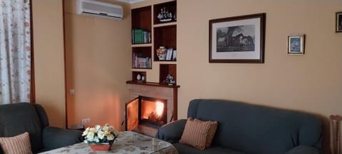 Living room, fireplace, heating, internet, air conditioner