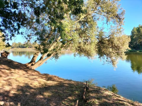 Hiking, Cycling