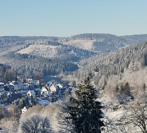 Winter, Mountain view