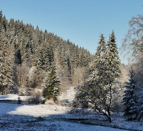 Natural landscape, Winter