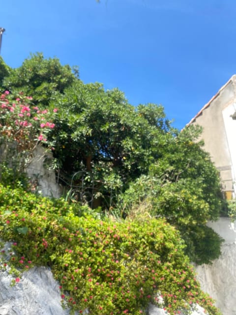 Au cœur du Parc National du Massif des Calanques, la Flibuste des Goudes, Maison 2 chambres, climatisée, jardins, solarium, proche plage, large vue mer House in Marseille