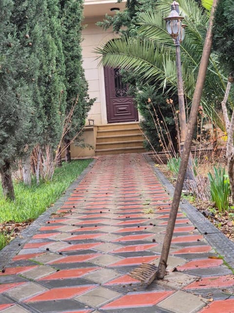 Spring, Garden, Garden view