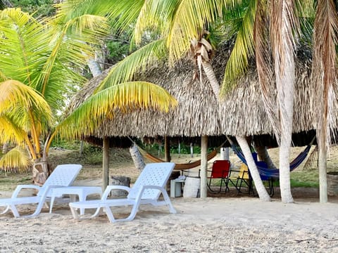 Beach, sunbed