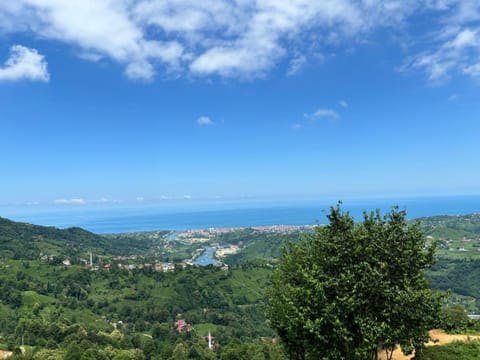 Natural landscape, River view, Sea view