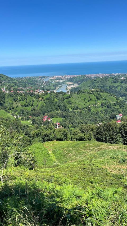 Natural landscape, Mountain view, River view, River view, Sea view