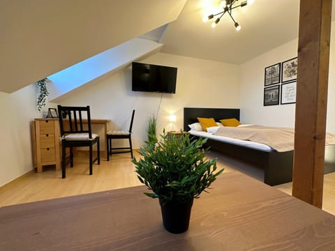 Gemütliche, charmante Ferienwohnung Nähe Zentrum Apartment in Plauen