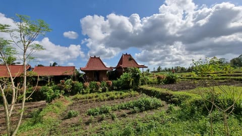 Sirya Farm House "harmony of nature and culture" hotel in Kerambitan