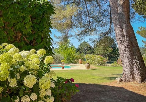 Spring, Day, Natural landscape, Garden, Garden view, Pool view, Swimming pool