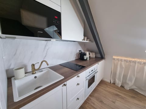 Kitchen or kitchenette, minibar, pet friendly, stove