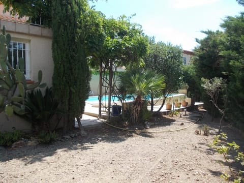 Garden, Swimming pool