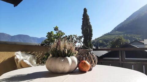 Natural landscape, View (from property/room), Balcony/Terrace, Mountain view