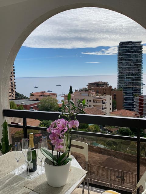 Monaco Stunning Sea Views, Larvotto beach, Terrace, Saint-Roman Condo in Roquebrune-Cap-Martin