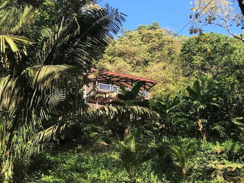 Jungle Villa copa de árbol, oceanview, infinity Villa in Cobano